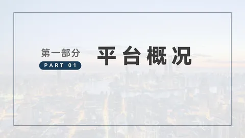 合作资料第3页：平台概况