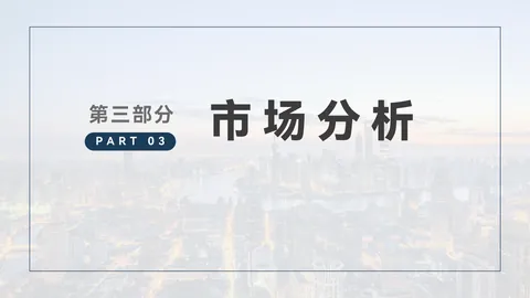 合作资料第12页：市场分析
